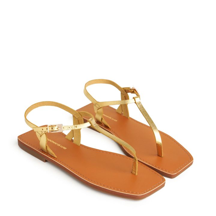 860.21_4-Rasteira-Sandalia-Metalizado-Couro-Ouro-Tiras-Delicadas-e-Fivela-Ouro-0.jpg
