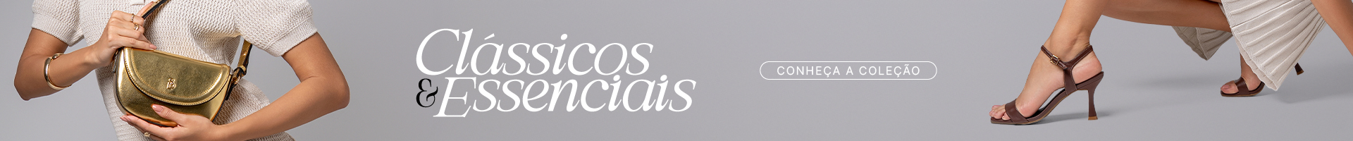 banner-dsk