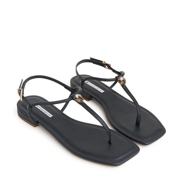 ROYAL_1-Rasteira-Sandalia-Preto-com-Enfeite-Pedra-Brilho-e-Fivela-0