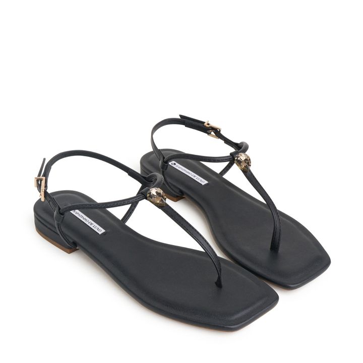 ROYAL_1-Rasteira-Sandalia-Preto-com-Enfeite-Pedra-Brilho-e-Fivela-0
