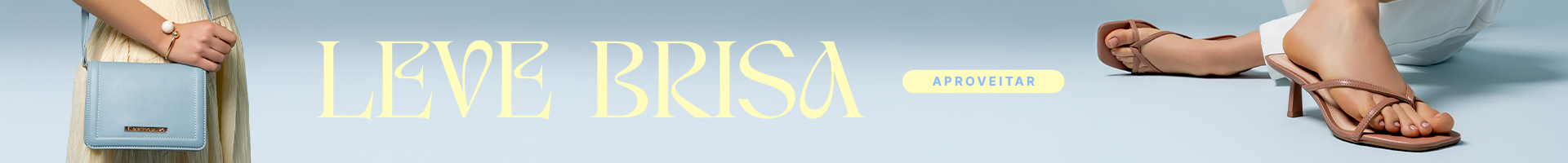 banner-dsk