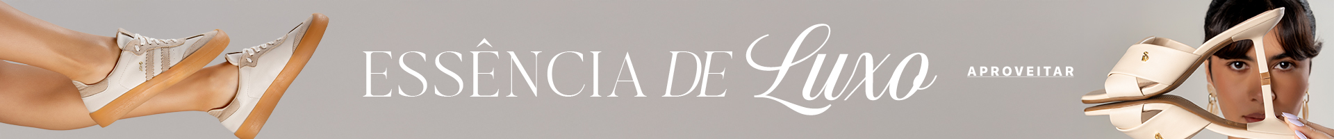 banner-dsk